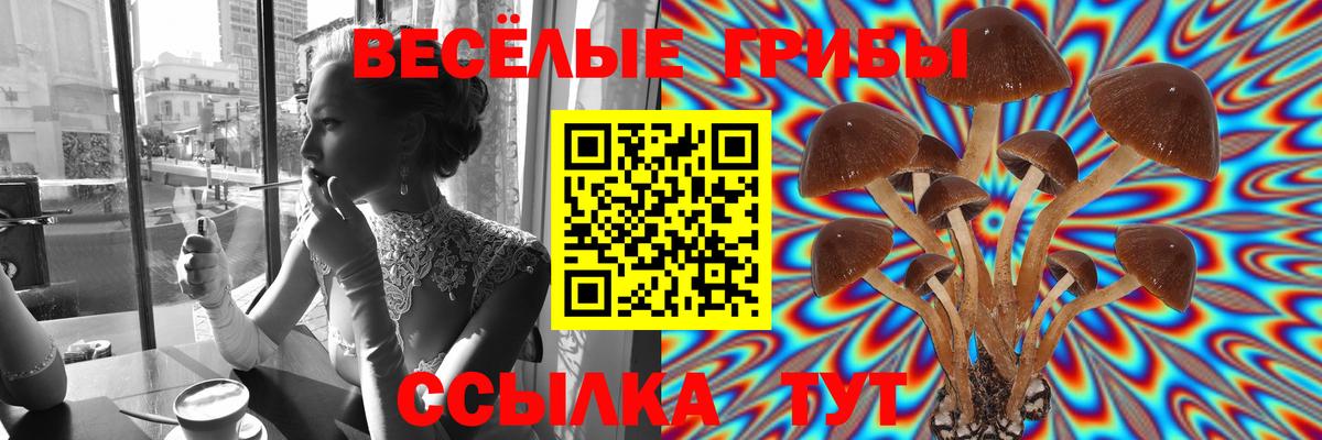 Псилоцибиновые грибы Psilocybine cubensis Биробиджан