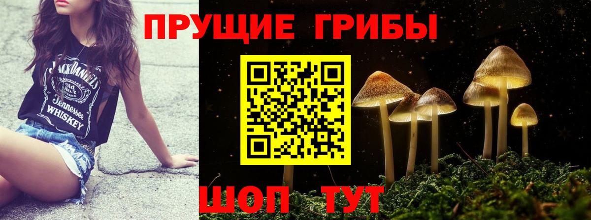 где купить   Вход с VPN  Биробиджан  Псилоцибиновые грибы Psilocybe 
